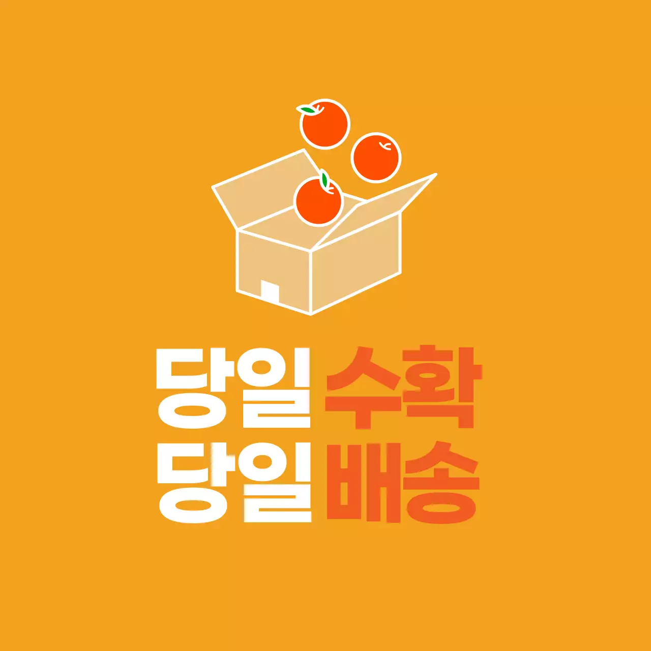 농산물 당일수확