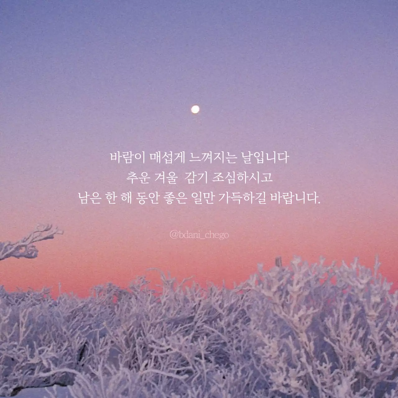 감성 사진 테마의 겨울 안부 인사