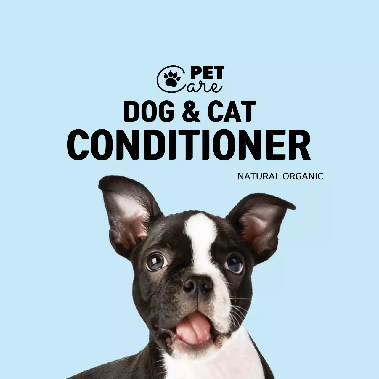 하늘색 로고 사진 심플한 애완용품 라벨 