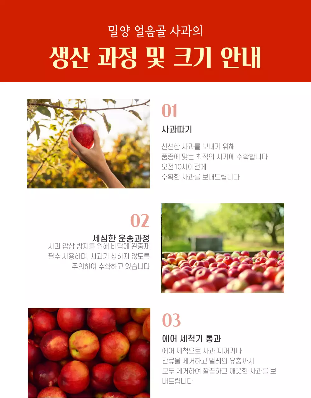 빨간색 깔끔한 사과 농수산물 판매(상세페이지)
