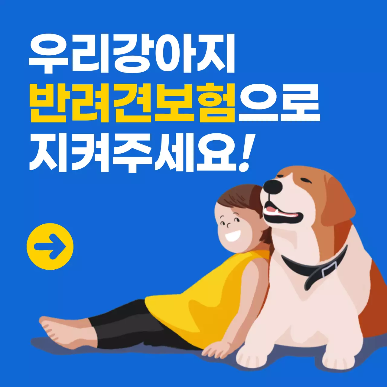 반려견의료보험