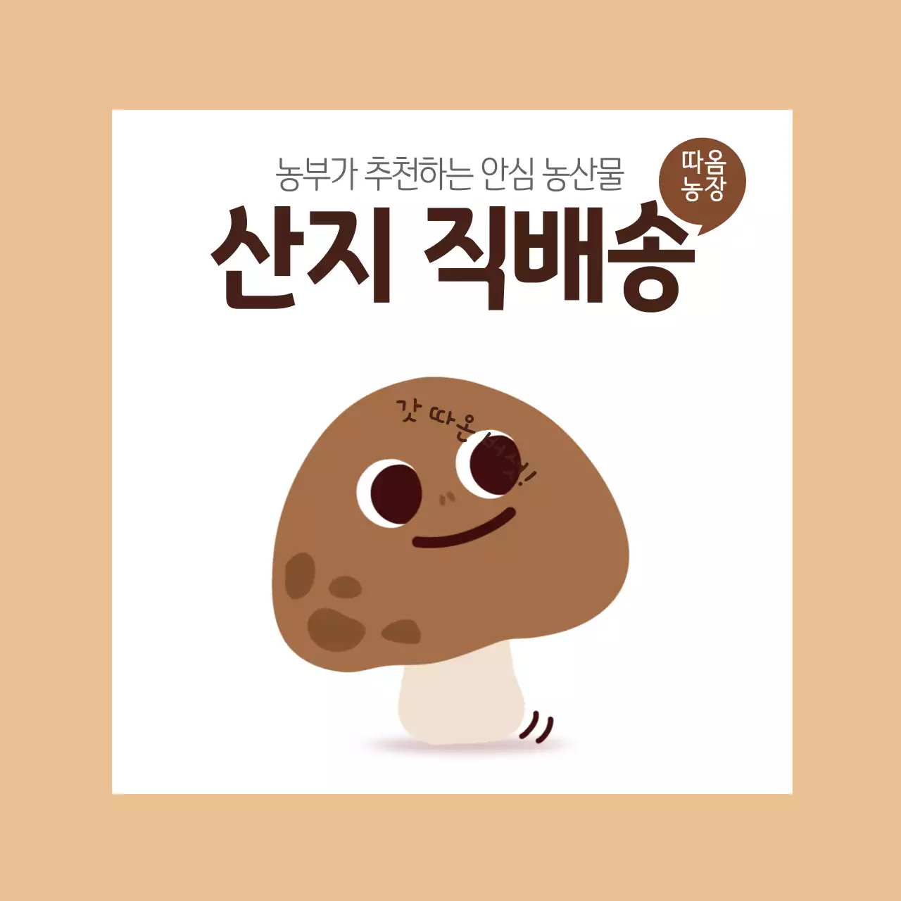버섯 직배송