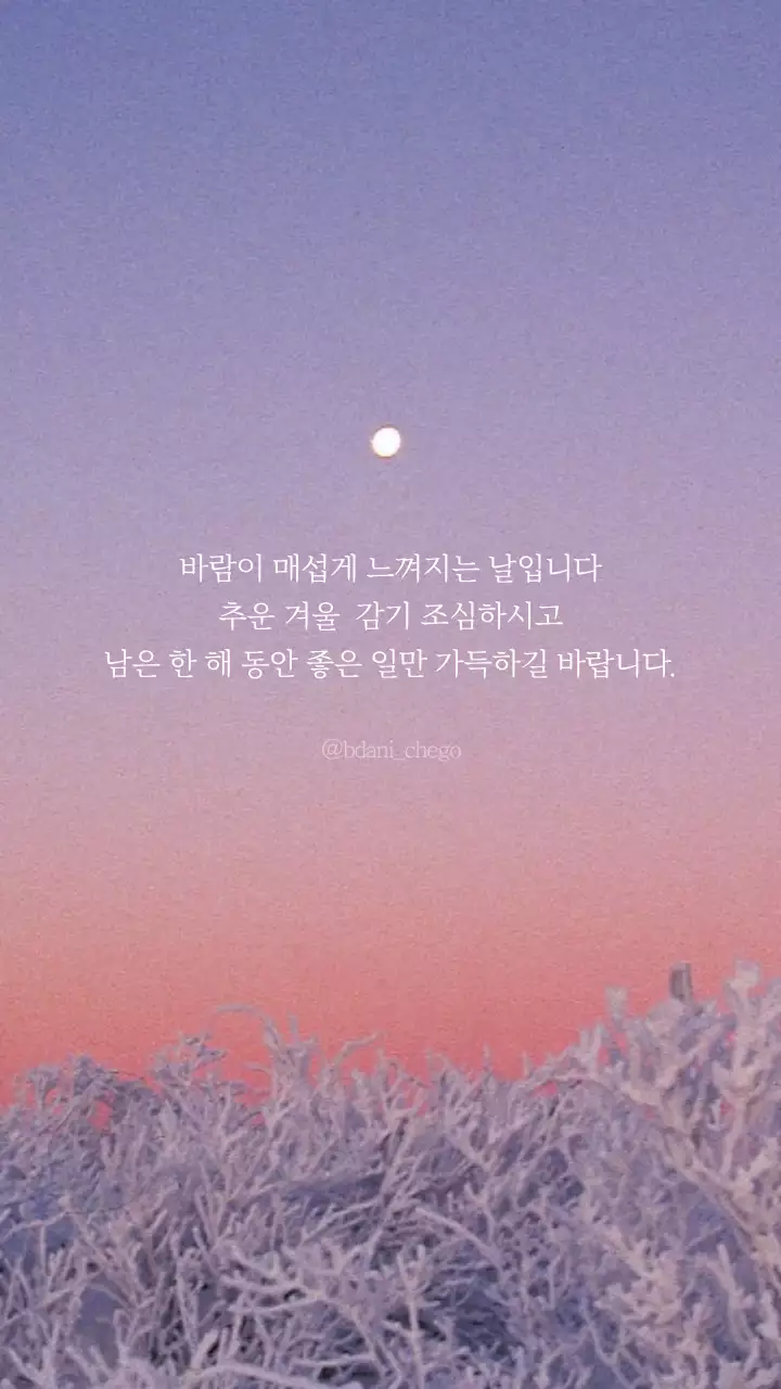 감성 사진 테마의 겨울 안부 인사
