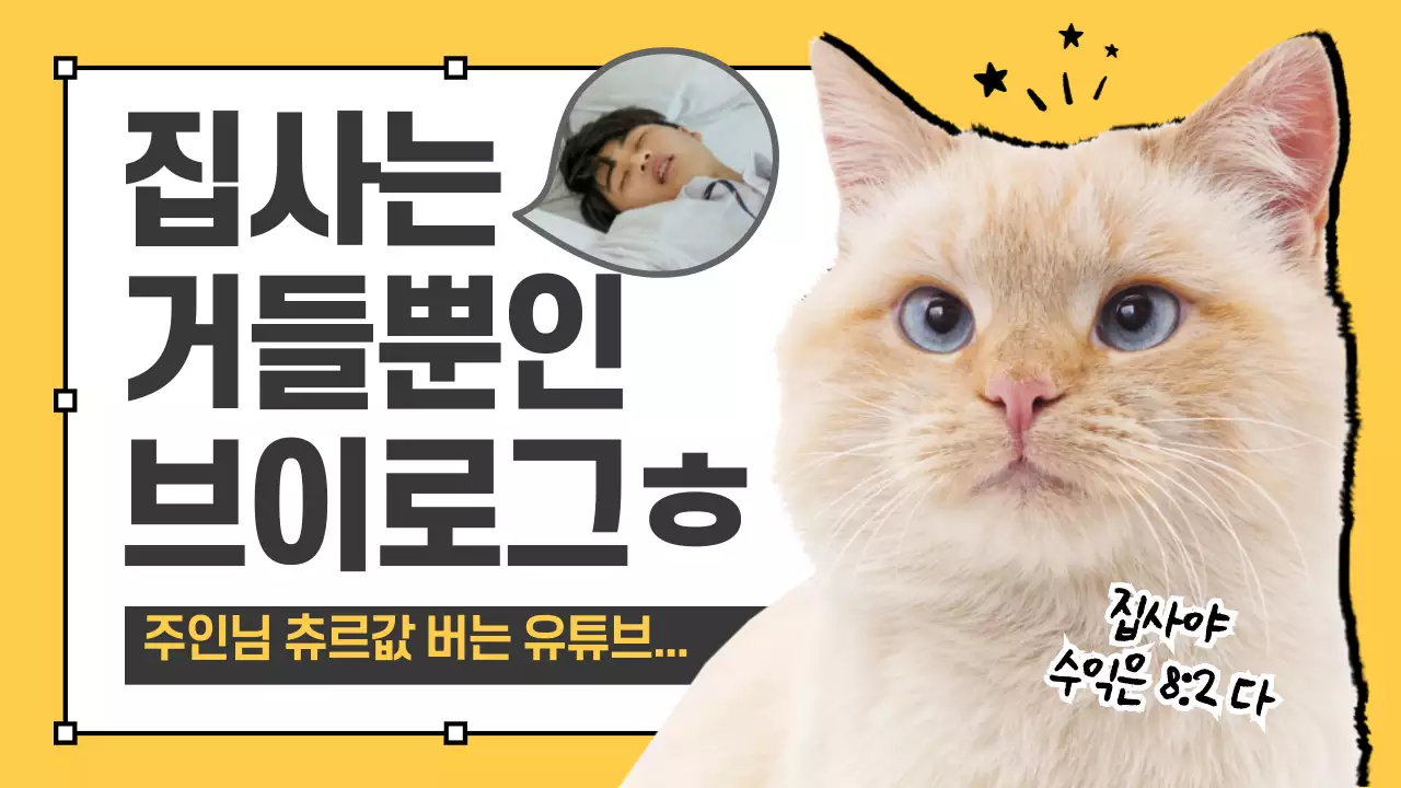 고양이 브이로그