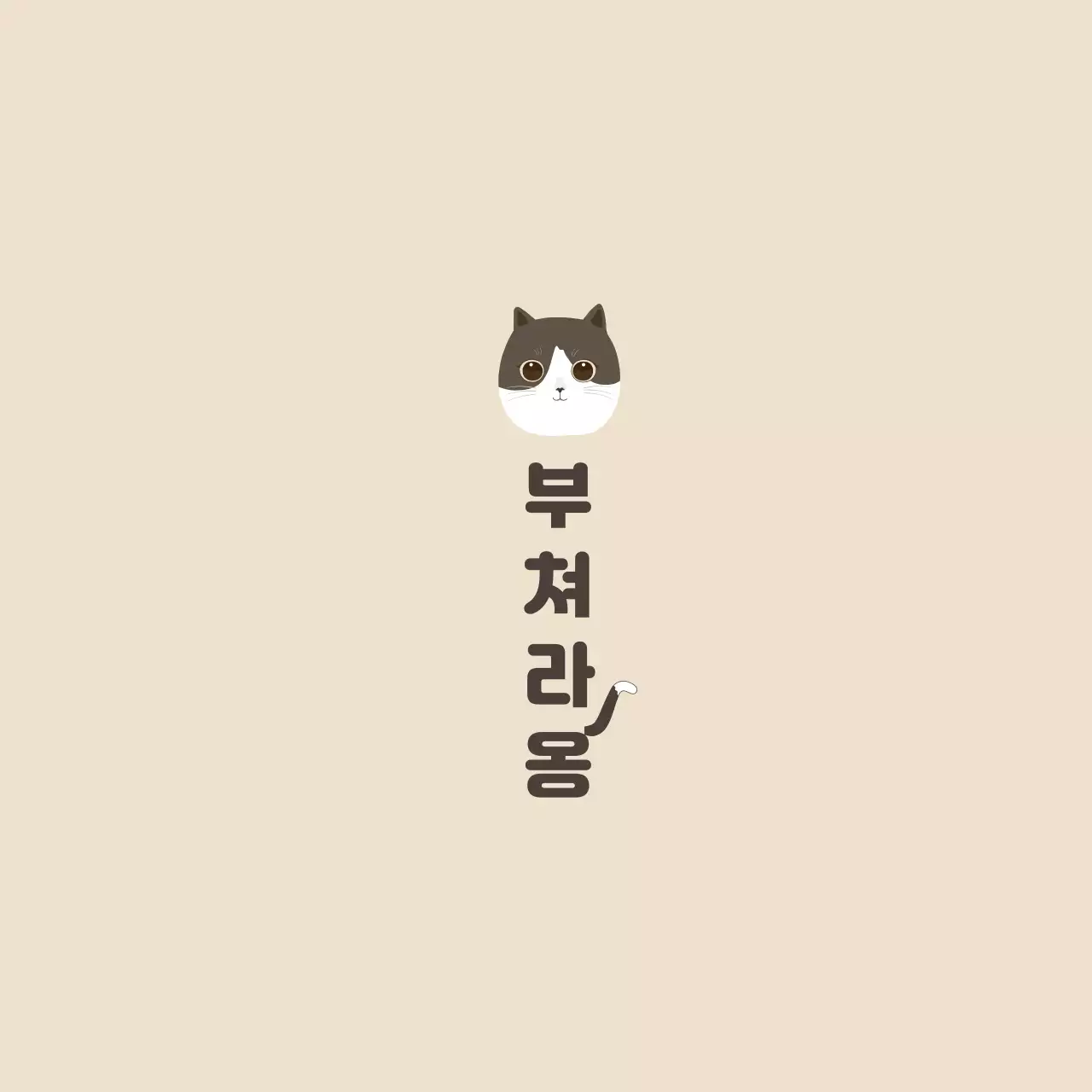 고양이