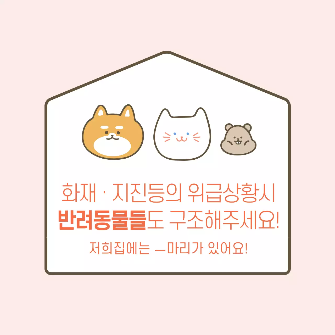 반려동물구조 카마그넷