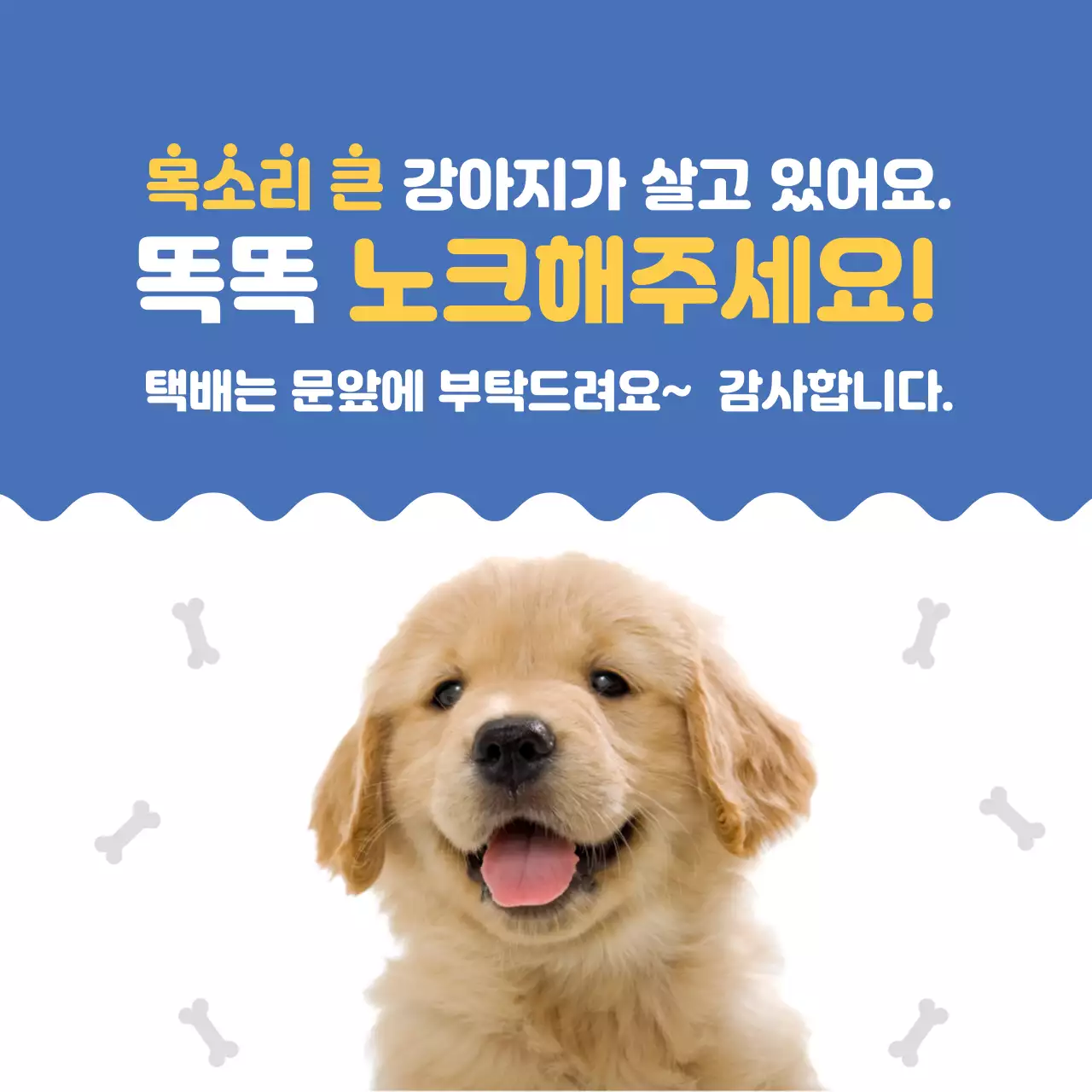 파란색 귀여운 강아지 반려견 가정용  