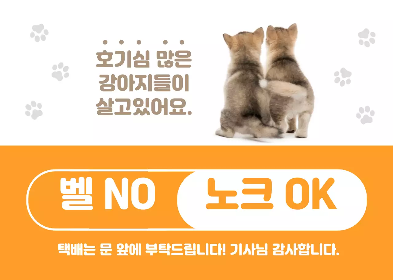 주황색 귀여운 강아지 반려견 가정용  