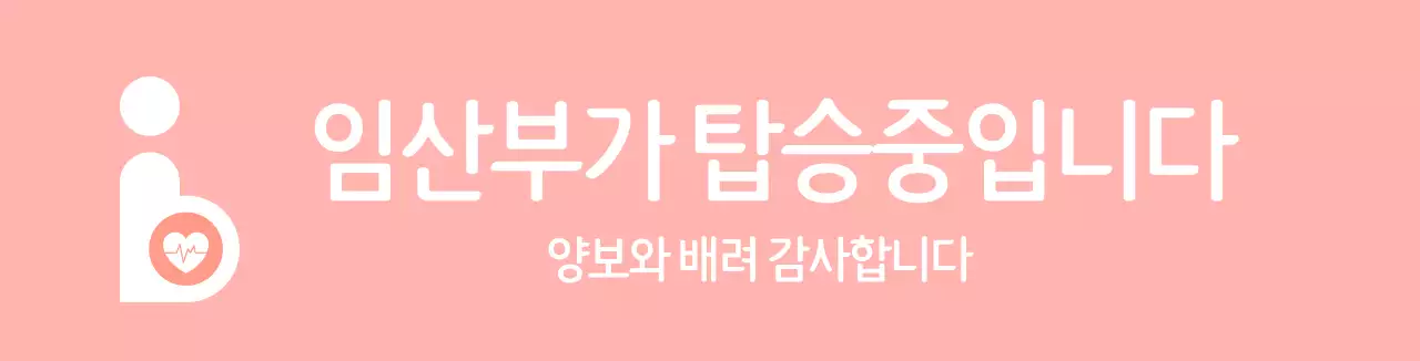 임산부 카마그넷