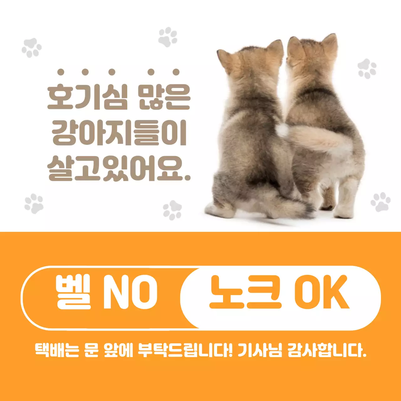 주황색 귀여운 강아지 반려견 가정용  