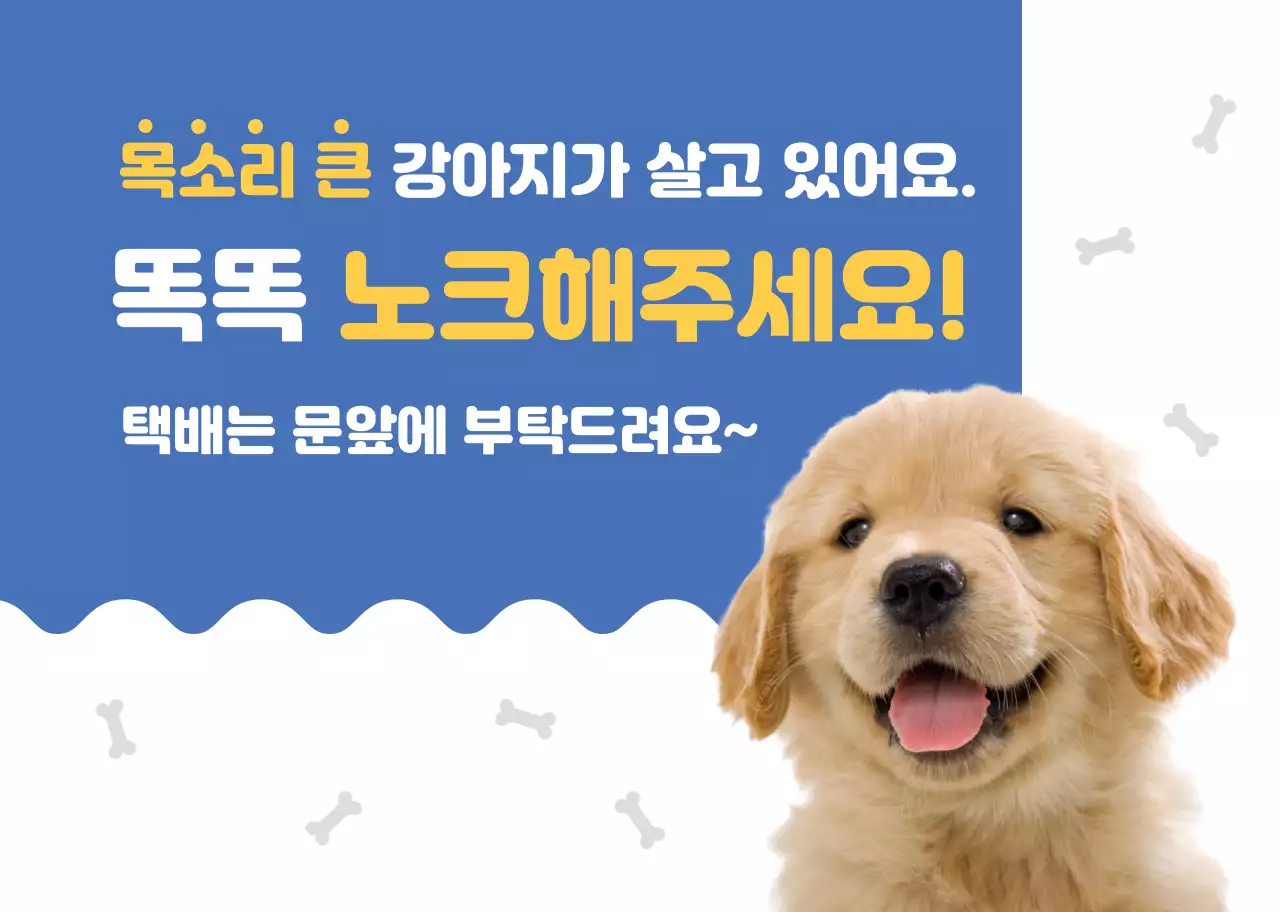 파란색 귀여운 강아지 반려견 가정용  