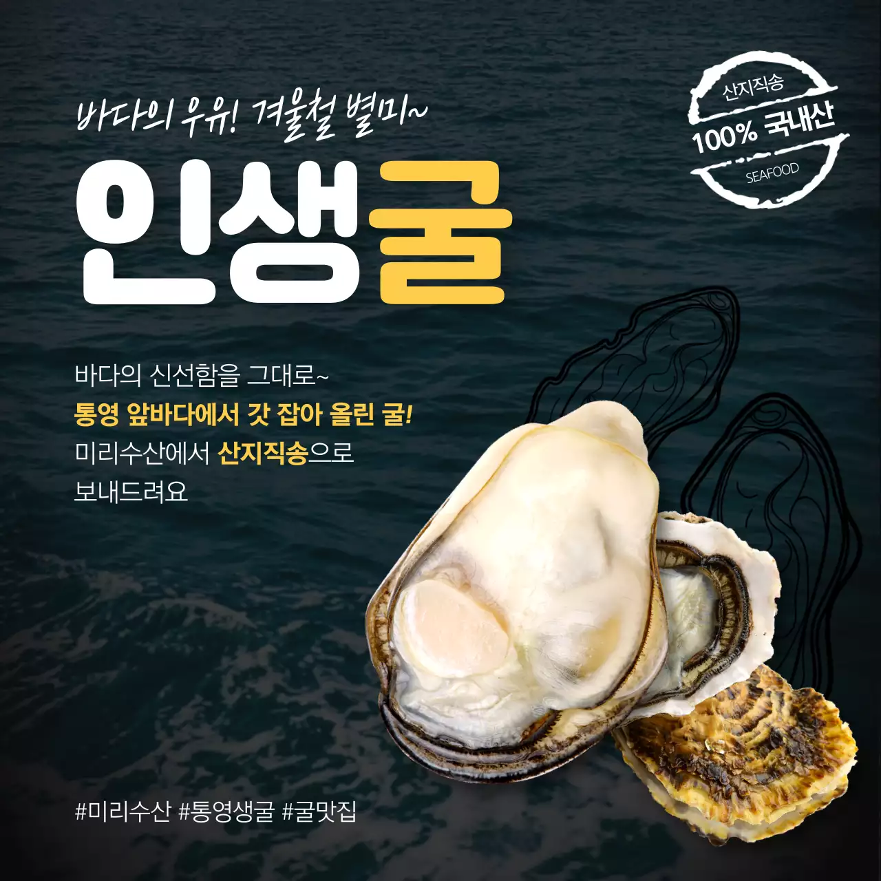 흰색과 노란색 깔끔한 겨울 별미 통영 굴 음식 안내