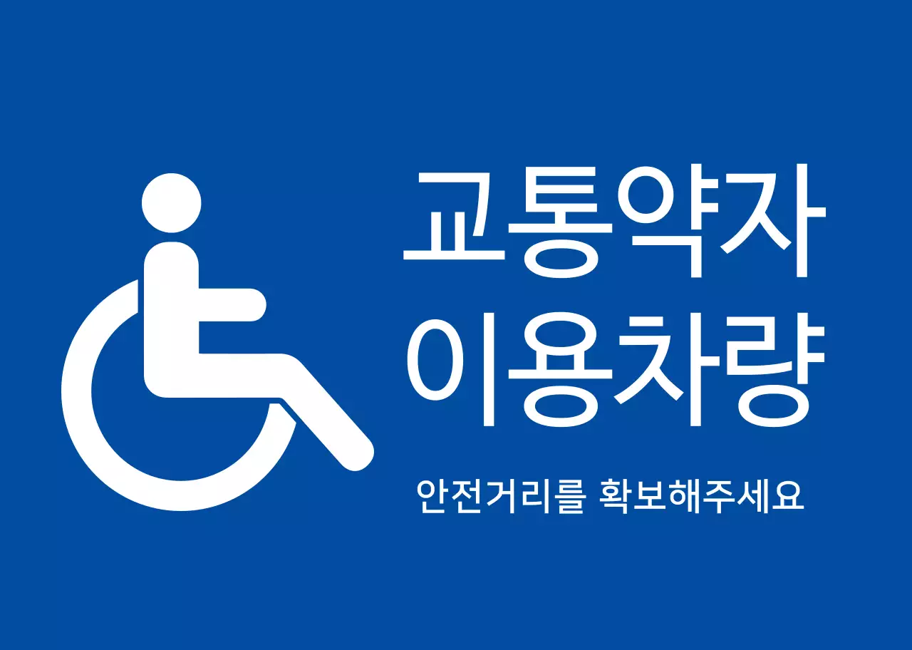 교통약자 카마그넷