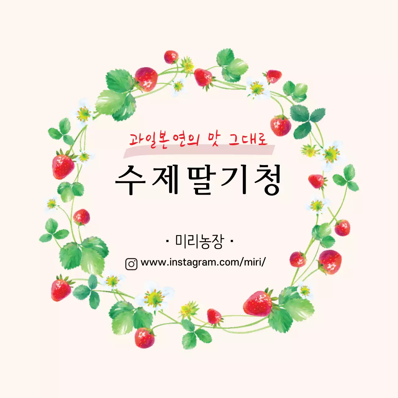 베이지색 수제딸기청