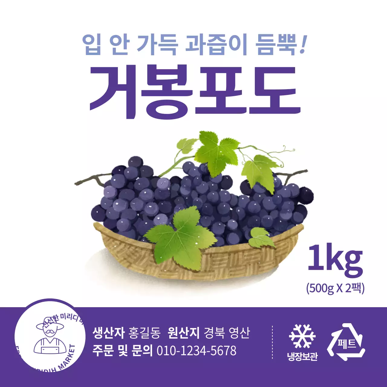 컬러별 여름 농산물 포도 일러스트 심플 정사각 스티커