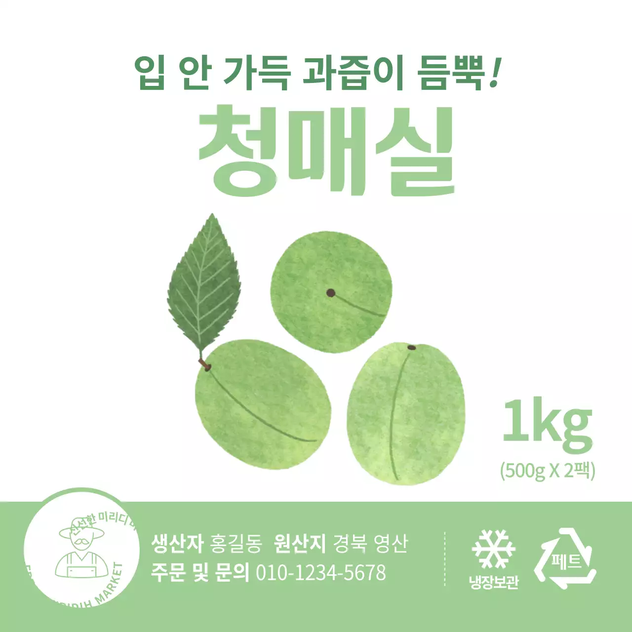 컬러별 여름 농산물 매실 일러스트 심플 정사각 스티커