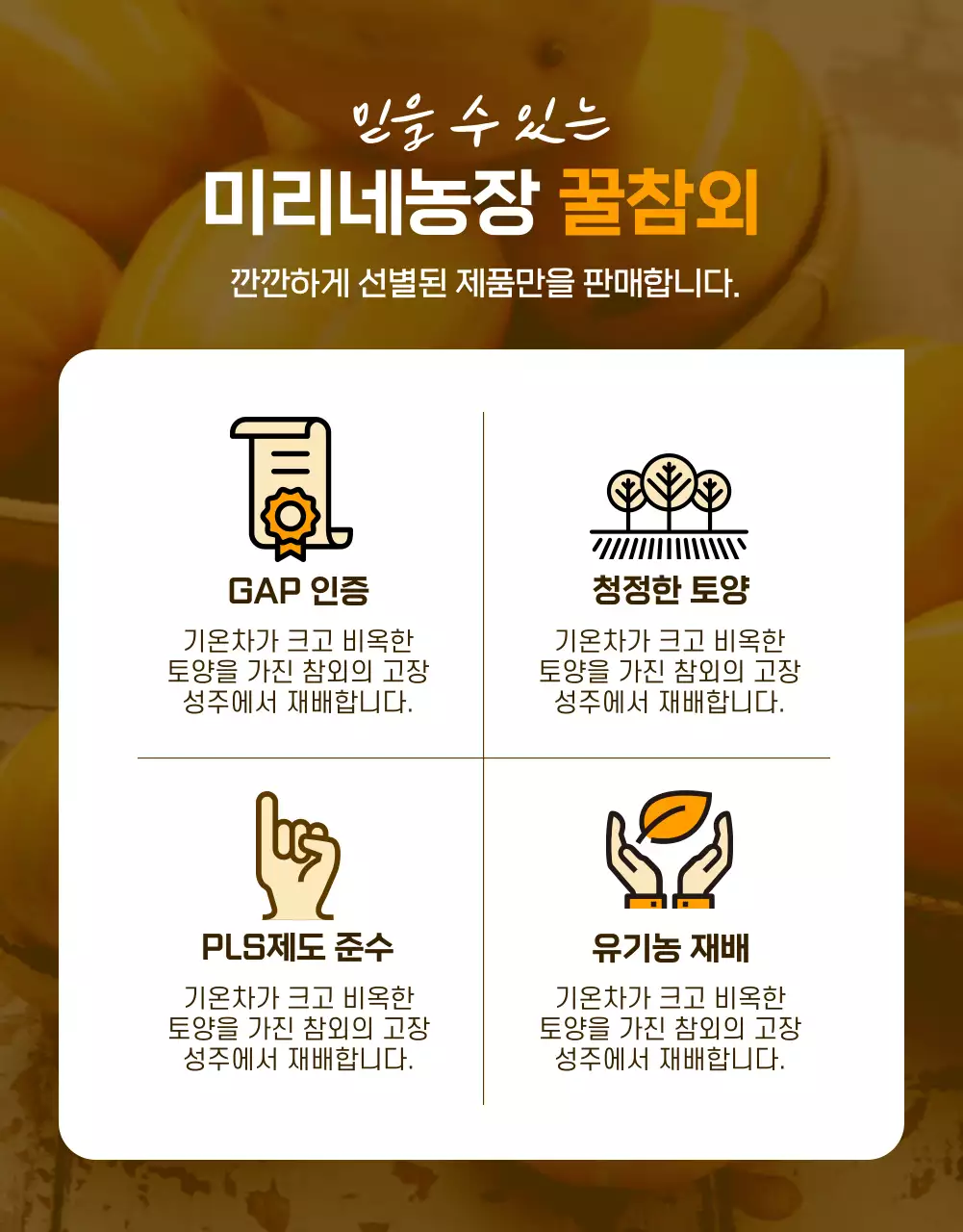 노란색의 참외 상세페이지