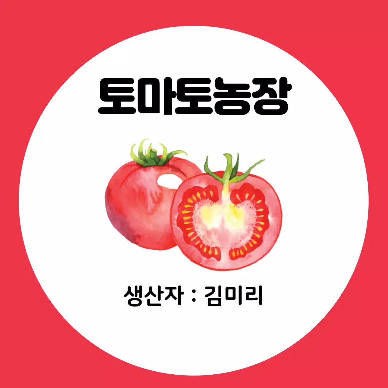 빨간색 일러스트 깔끔한 토마토 농장