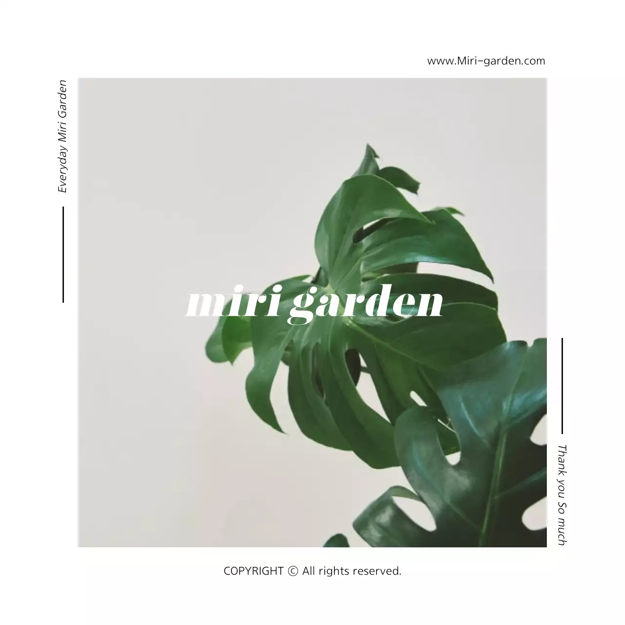 식물 컨셉의 인테리어쇼핑몰교환환불카드 엽서