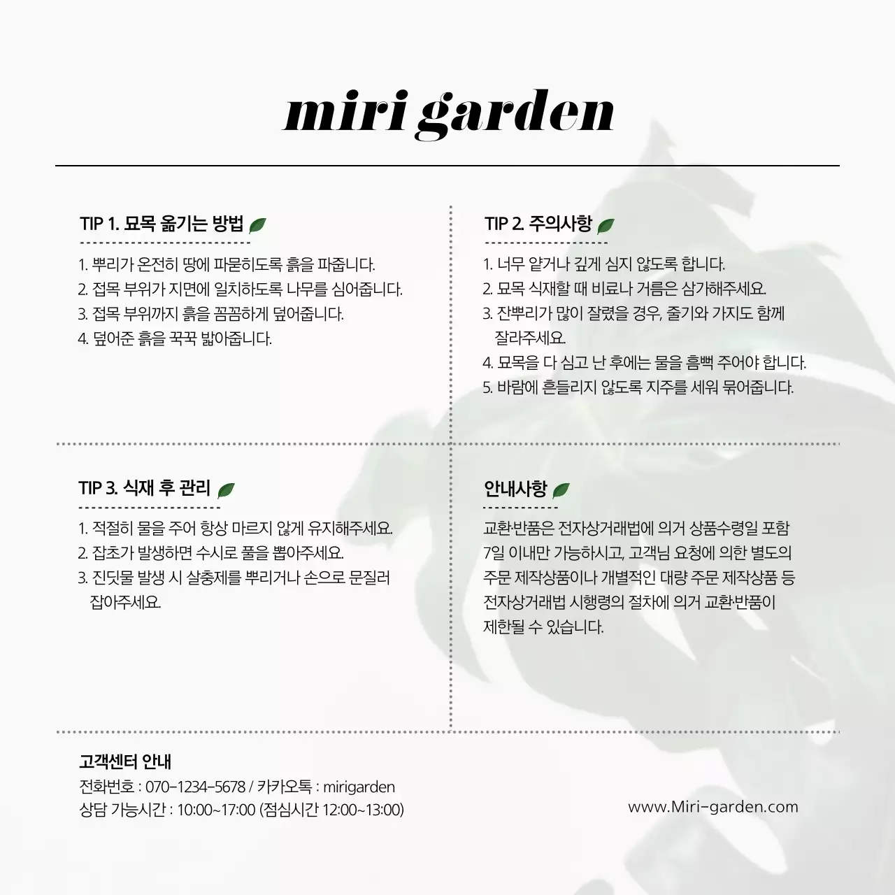 식물 컨셉의 인테리어쇼핑몰교환환불카드 엽서