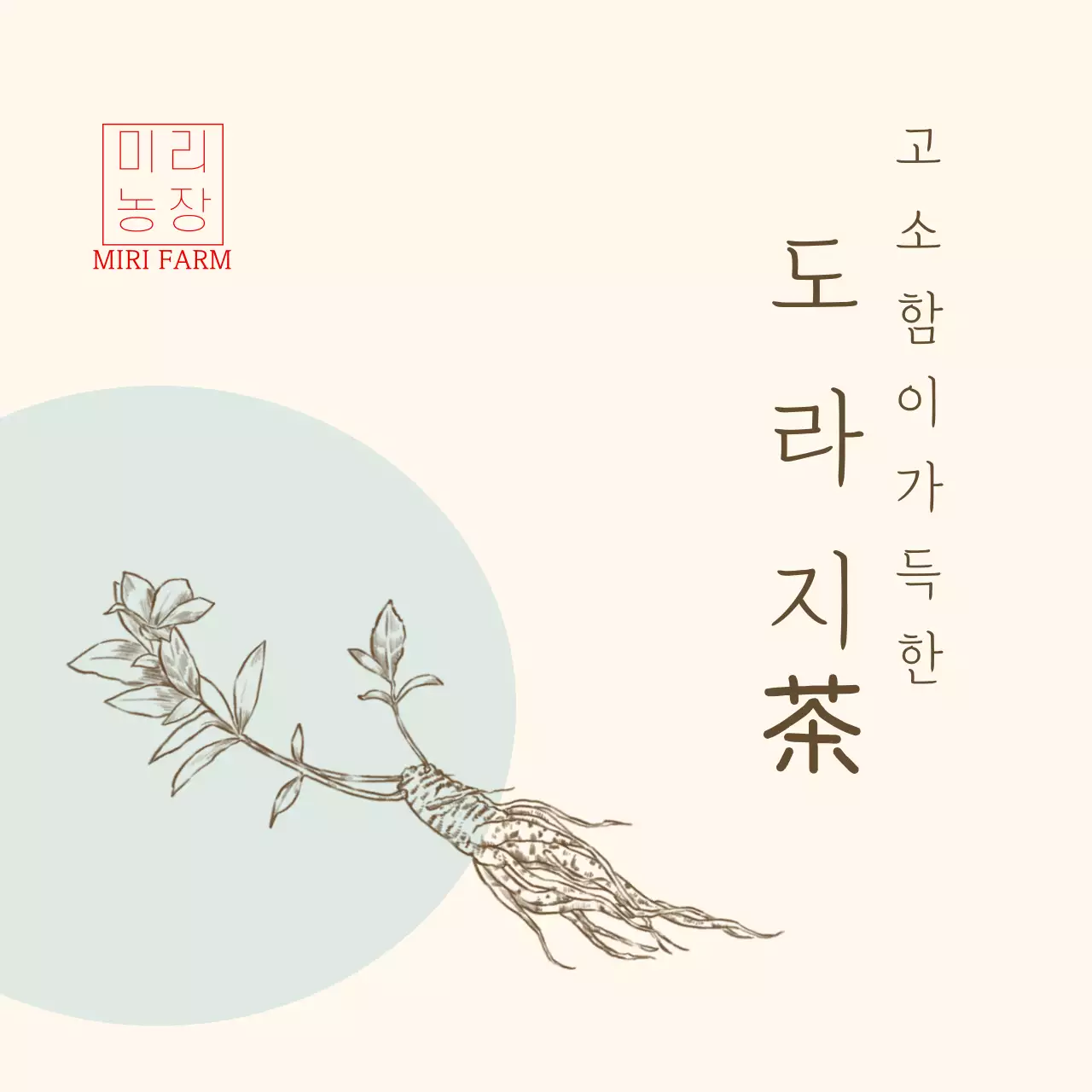 민트색 드로잉 도라지차 스티커