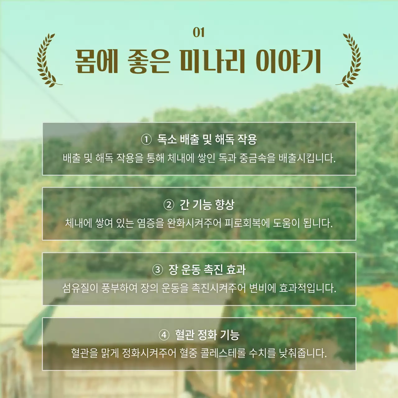 녹색과 갈색의 영화 패러디 컨셉 미나리 소개