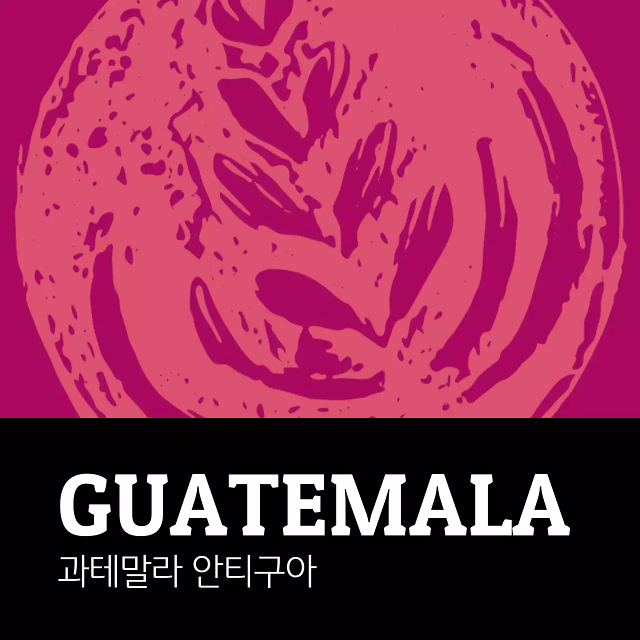 컬러풀 빈티지 일러스트 원두 커피 라벨 과테말라(정사각형)