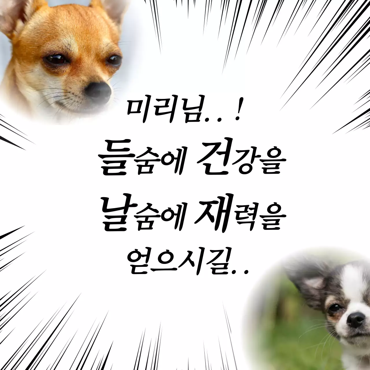 화이트블랙의 B급 감성 만화 컨셉