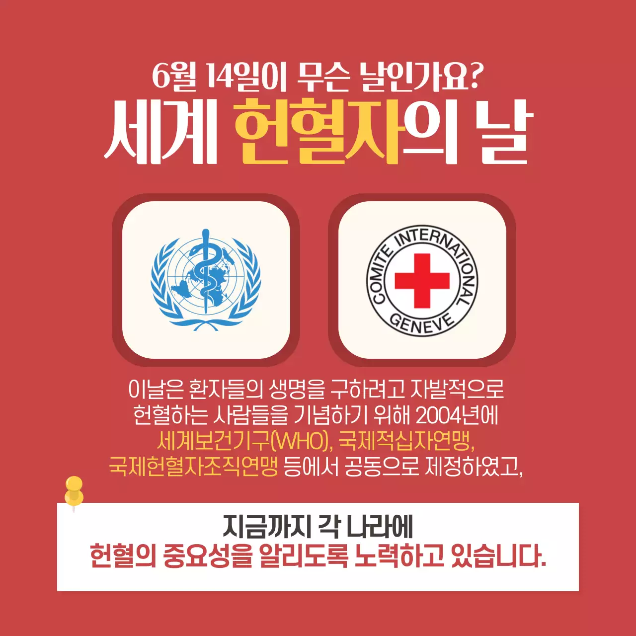 두클래스 세계 헌혈자의 날 카드뉴스 디자인