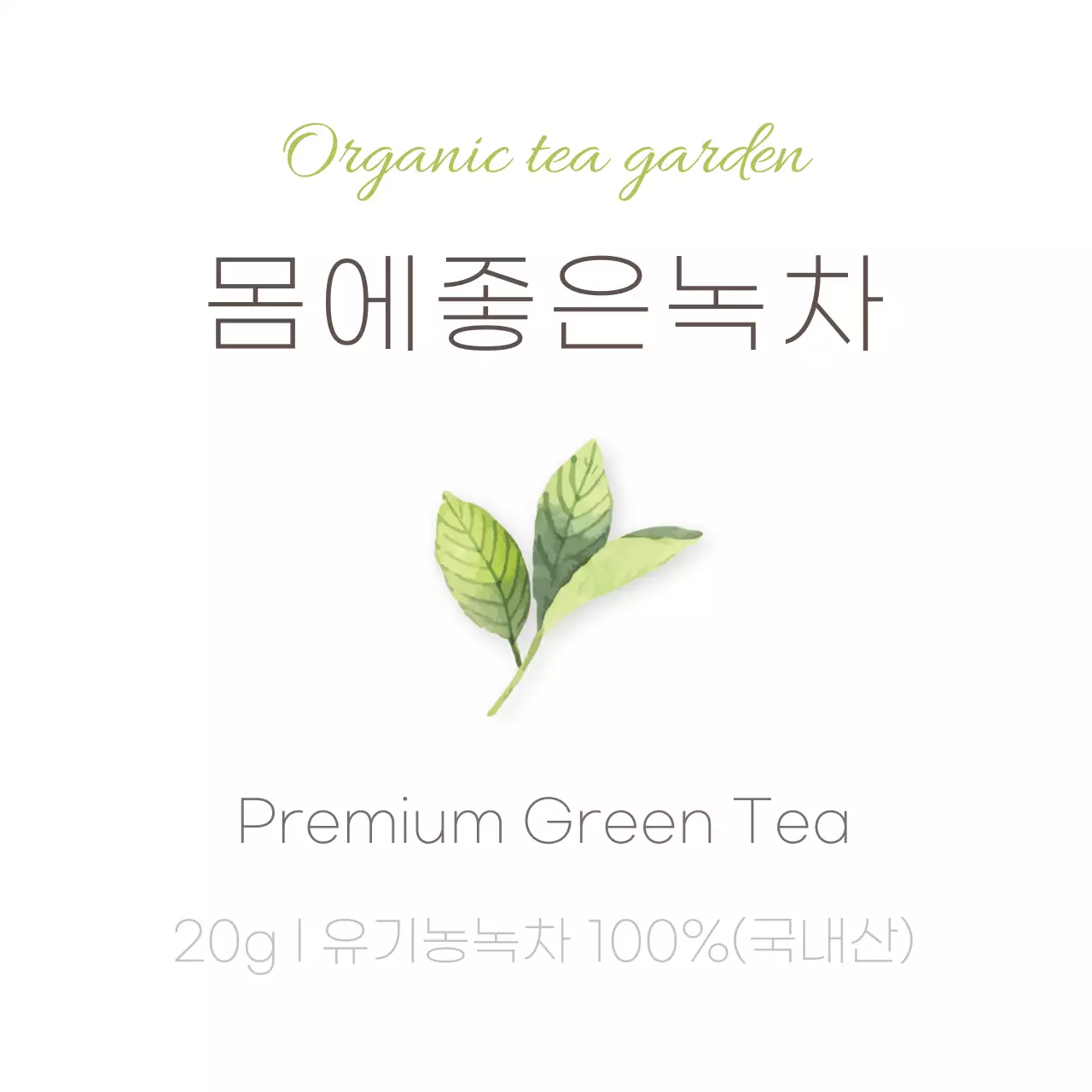 연두색 심플한 녹차 스티커