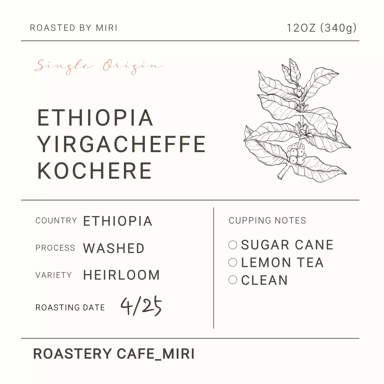 커피 원두 패키지 스티커