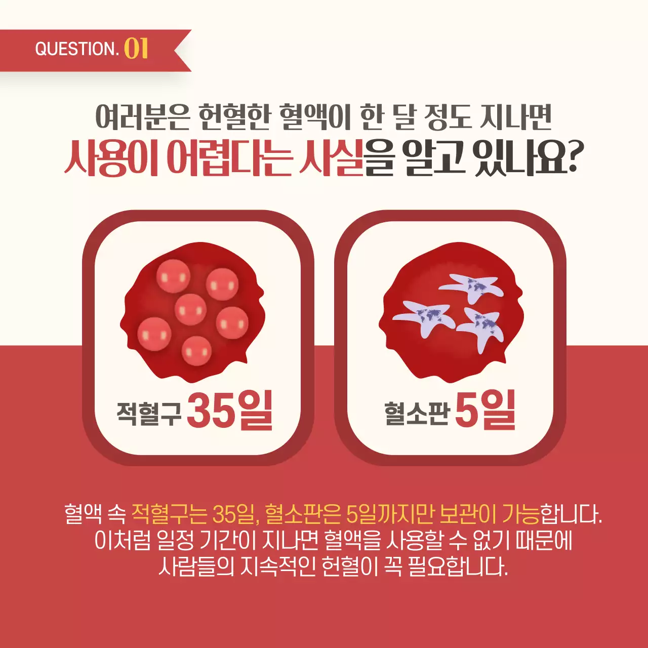 두클래스 세계 헌혈자의 날 카드뉴스 디자인