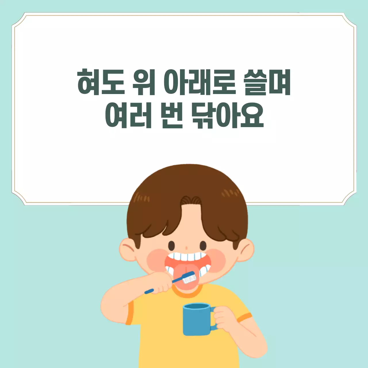 두클래스 양치질 생활습관