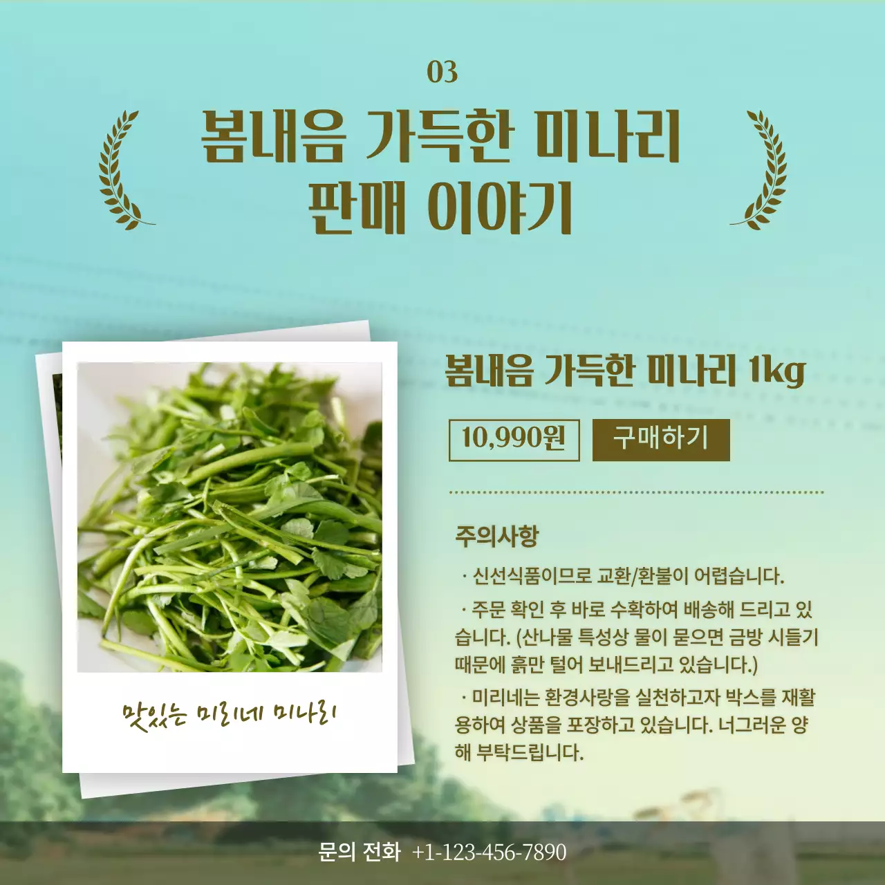 녹색과 갈색의 영화 패러디 컨셉 미나리 소개