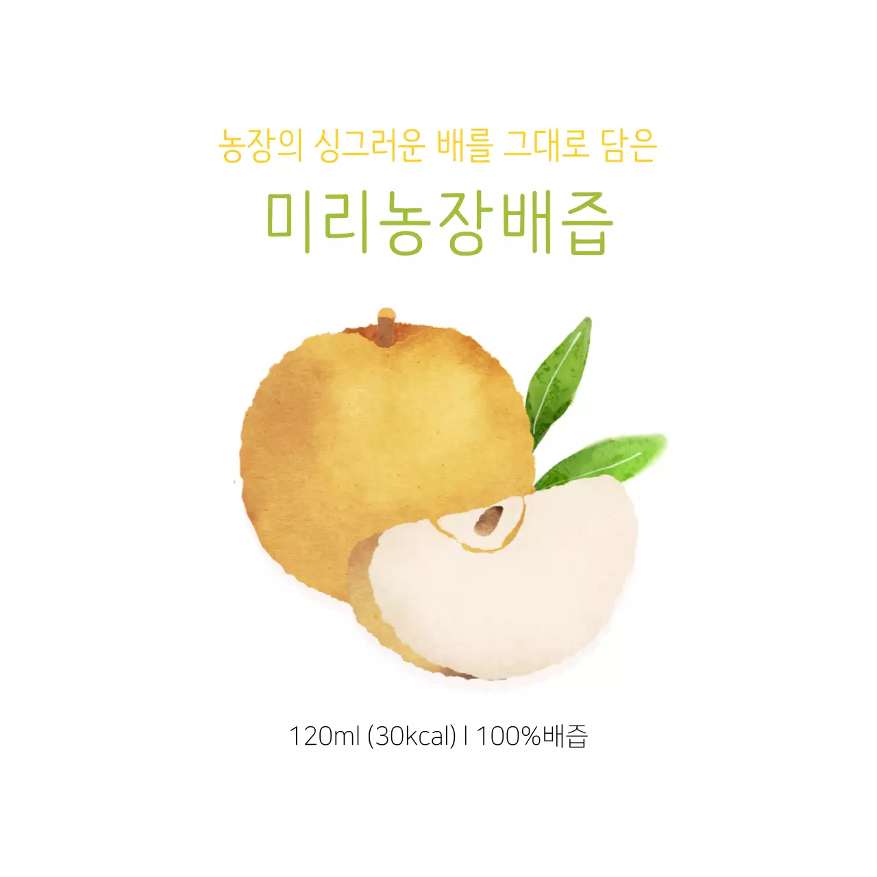 노란색 수채화느낌 배즙 스티커