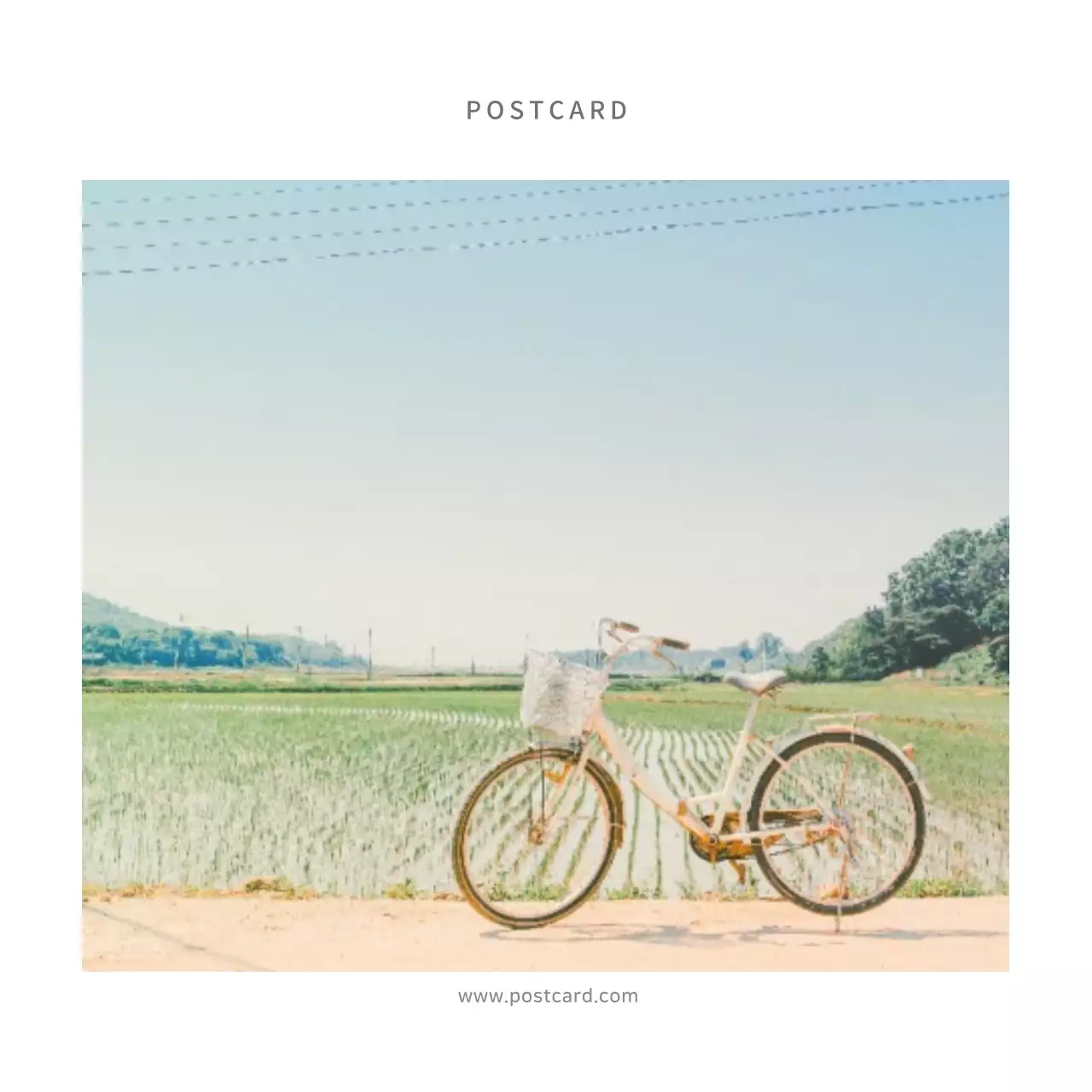 심플한 사진엽서 카드엽서