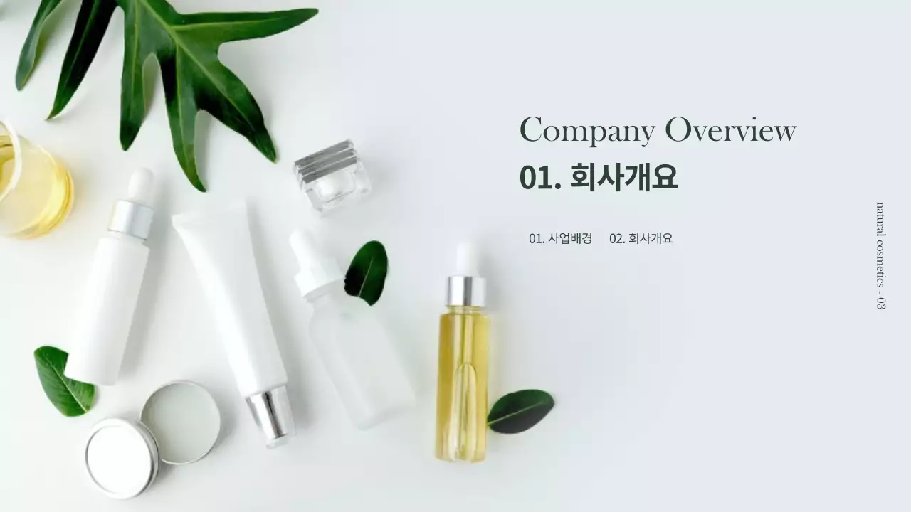 갈색과 녹색의 천연 화장품 사업계획서 프리젠테이션