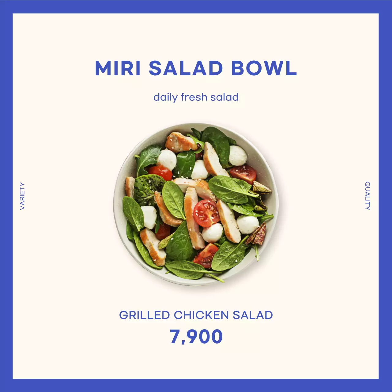 블루 샐러드 정사각