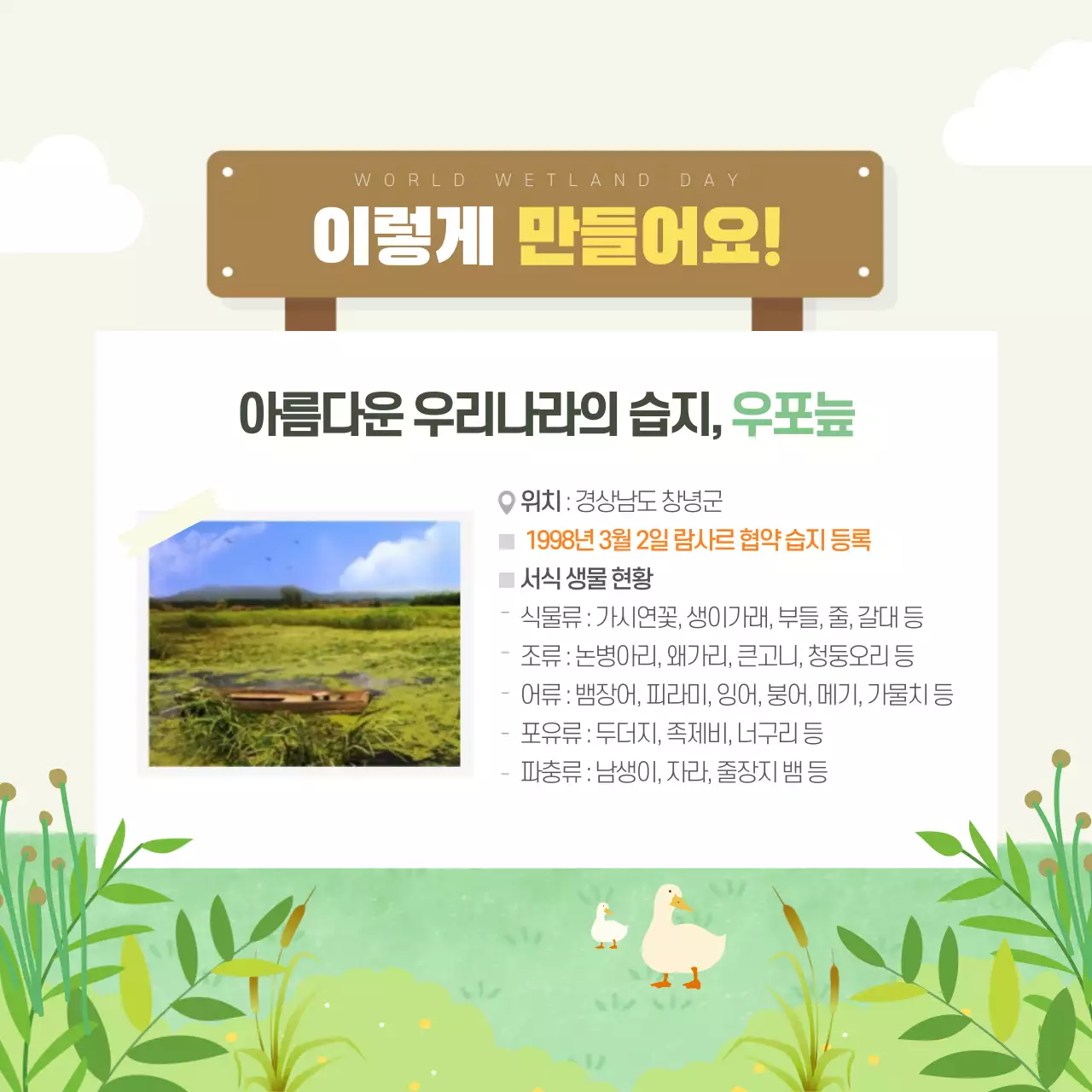 두클래스 세계 습지의 날 카드뉴스 디자인