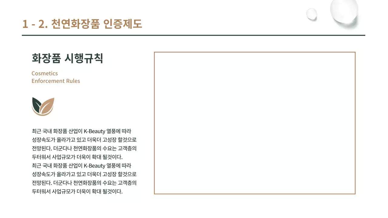 갈색과 녹색의 천연 화장품 사업계획서 프리젠테이션