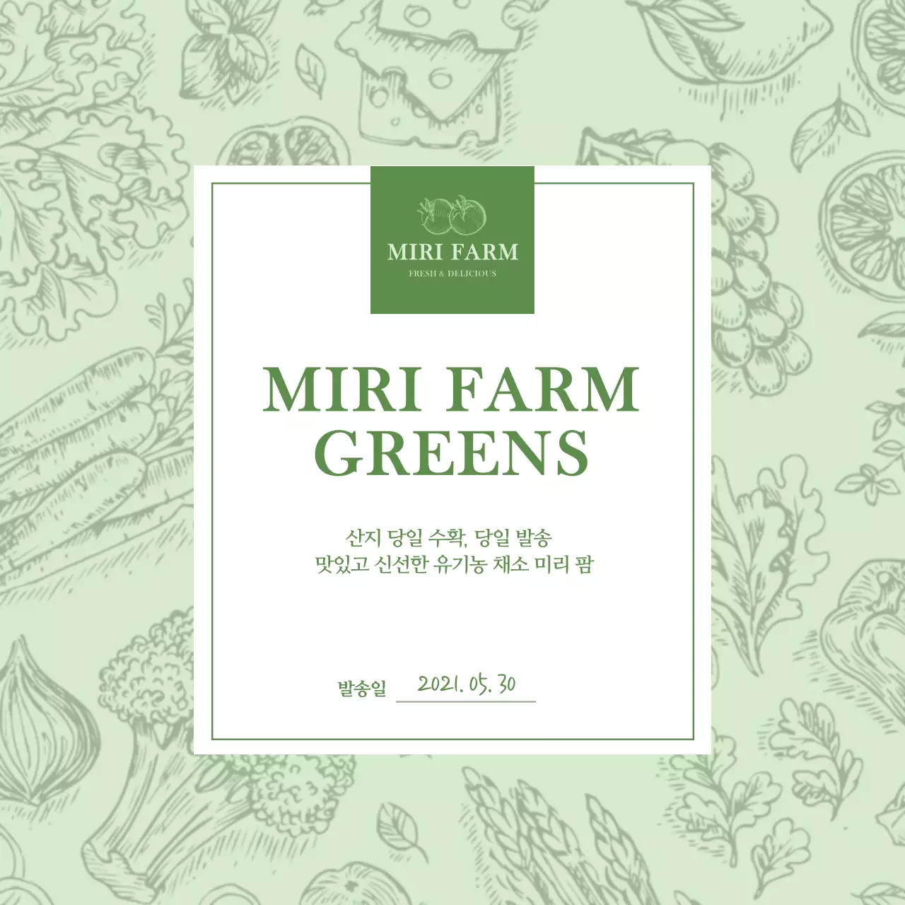 연두색의 야채 일러스트 엽서