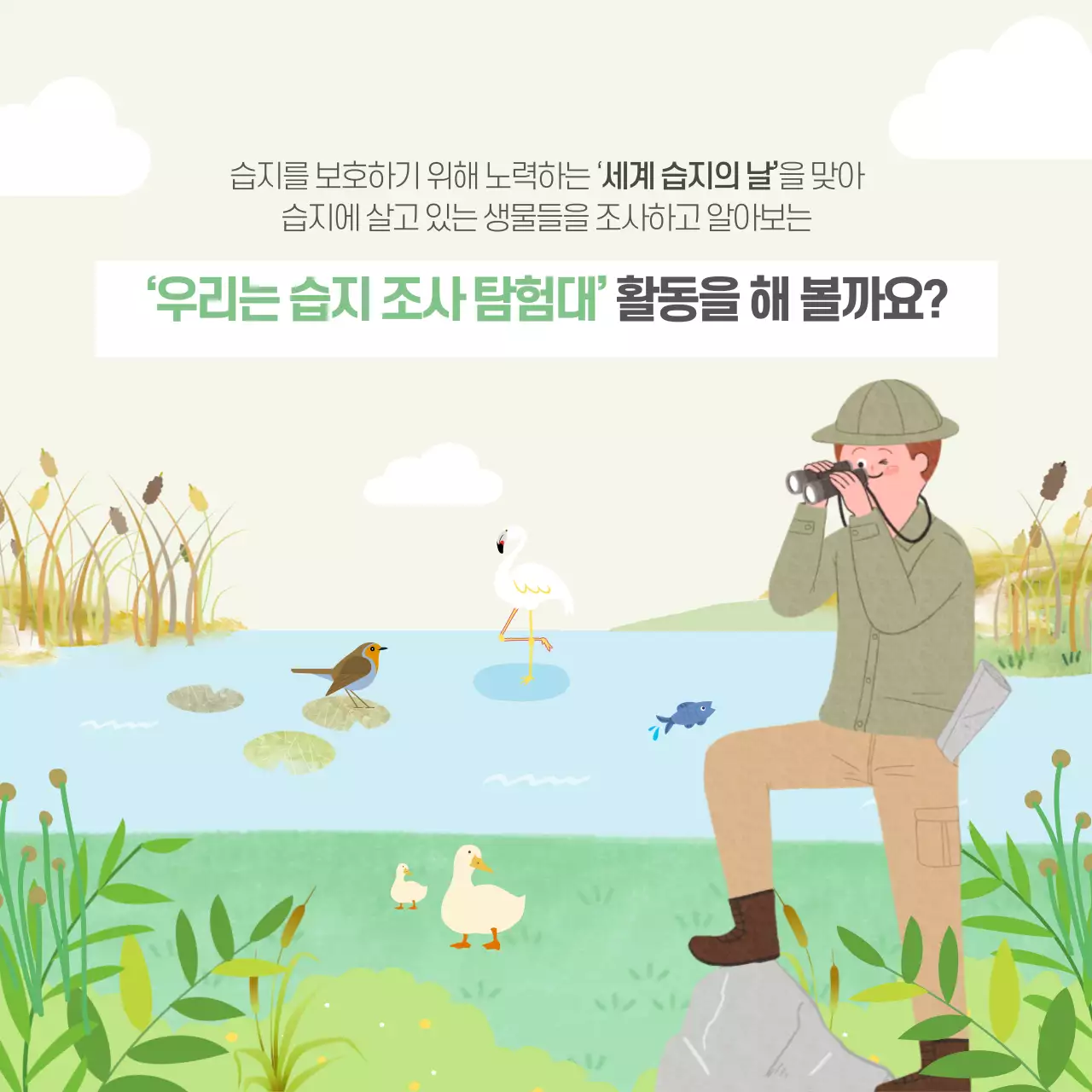 두클래스 세계 습지의 날 카드뉴스 디자인