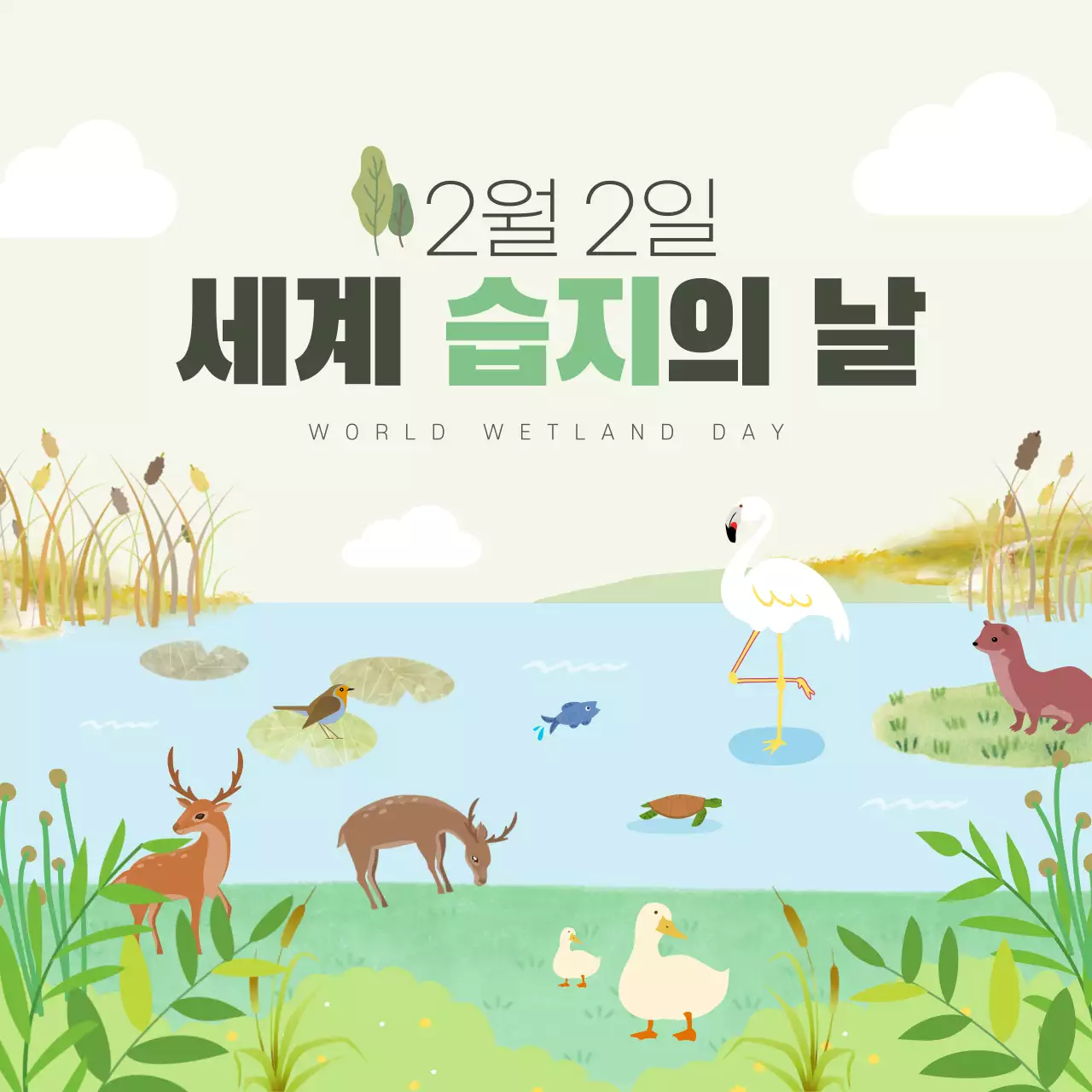 두클래스 세계 습지의 날 카드뉴스 디자인