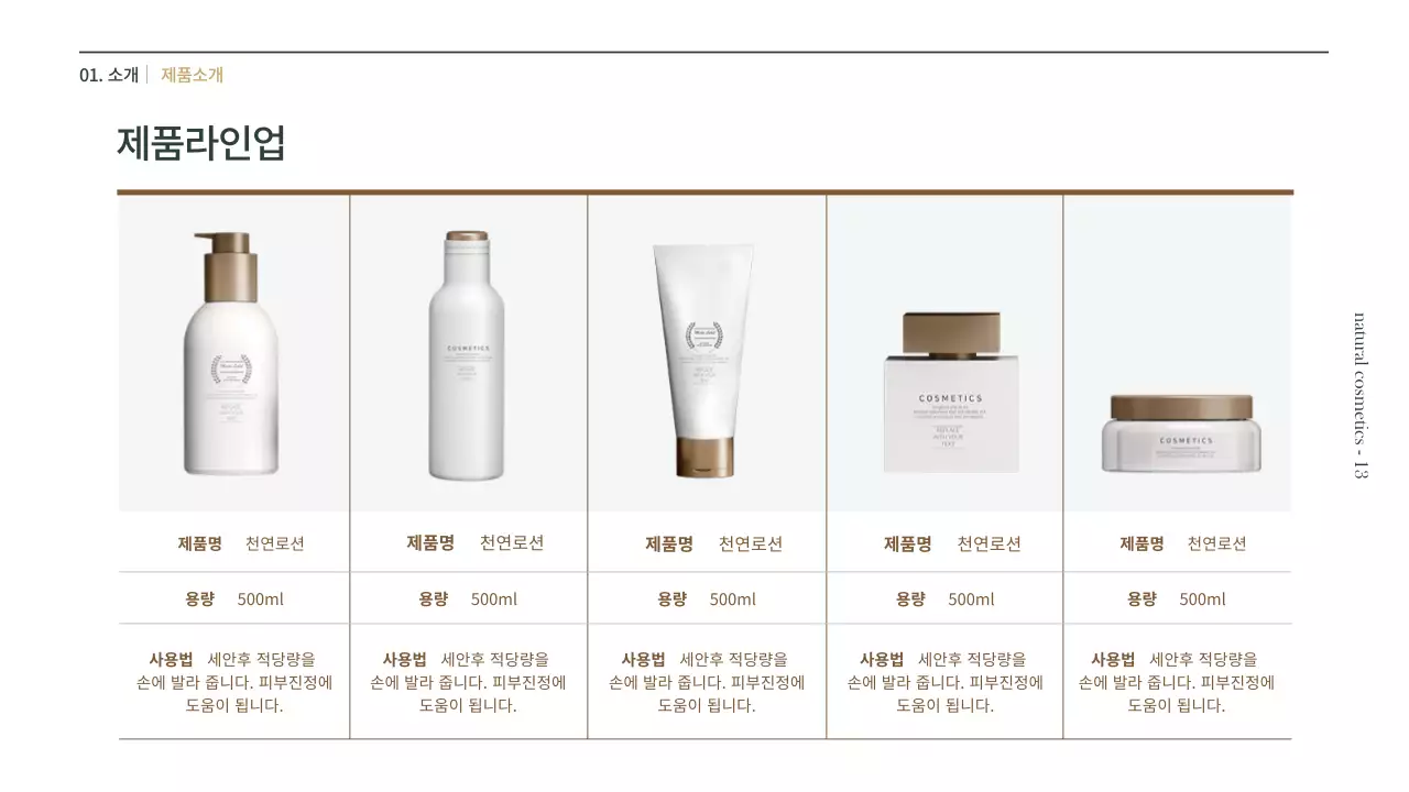 갈색과 녹색의 천연 화장품 사업계획서 프리젠테이션