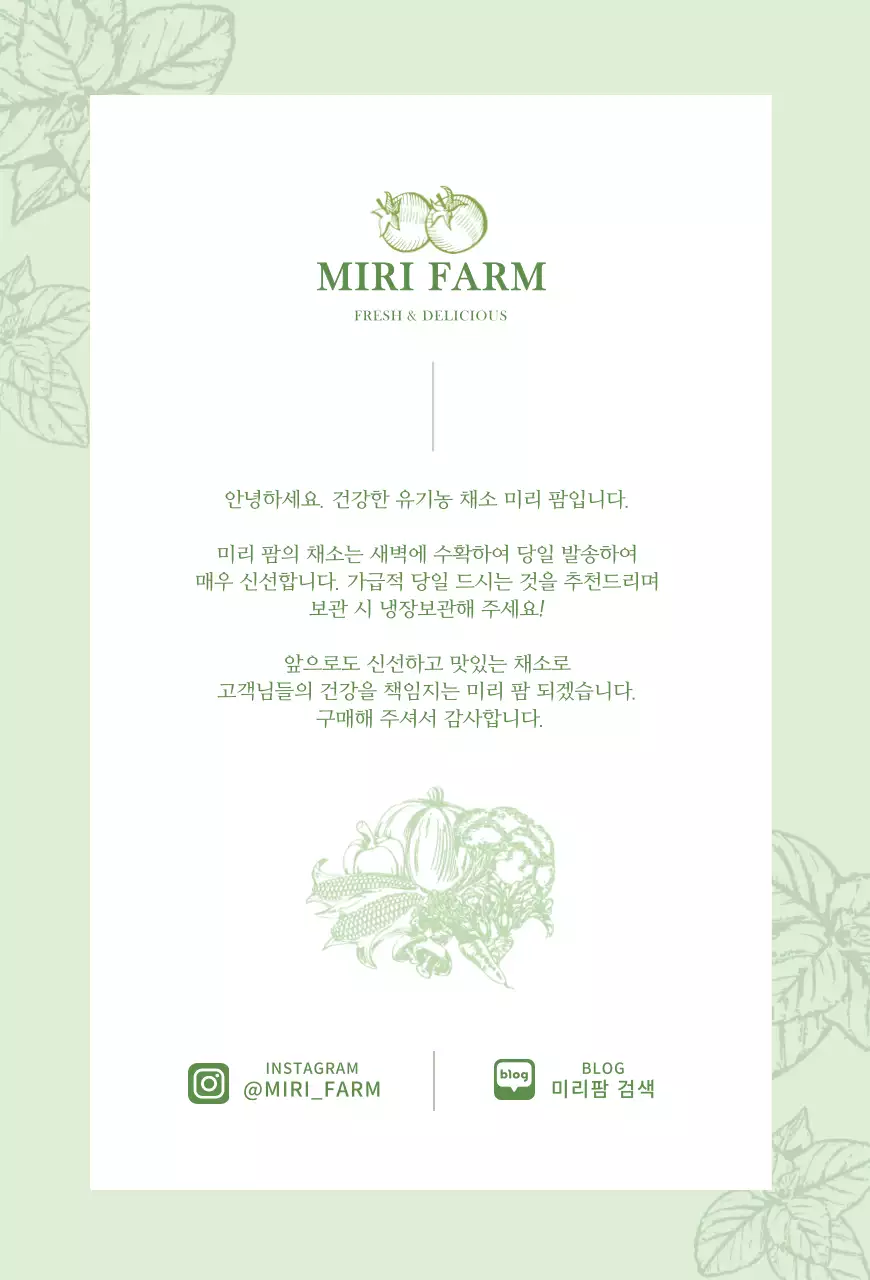 연두색의 야채 일러스트 엽서