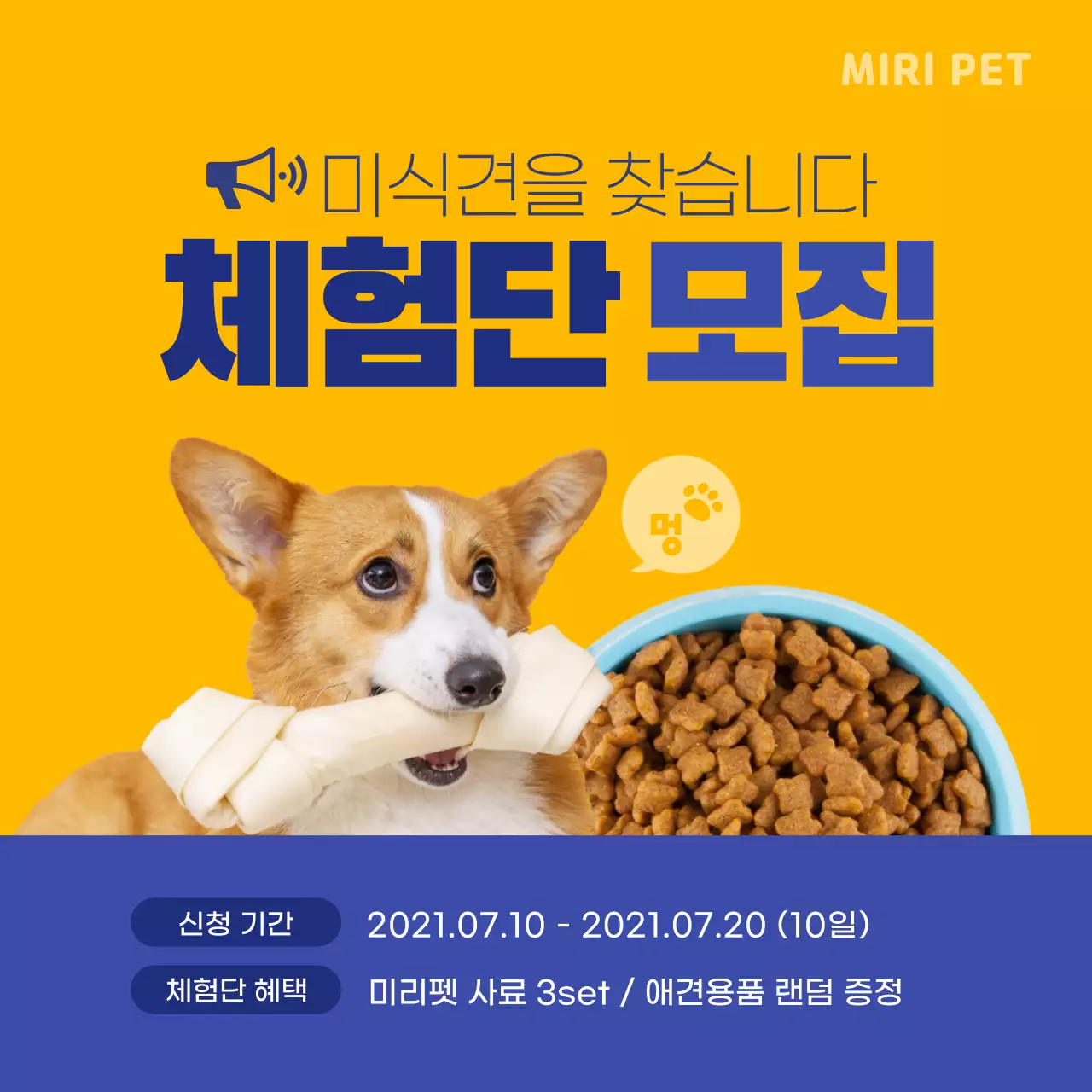 노란색과 남색의 애견용품 체험단 모집 디자인
