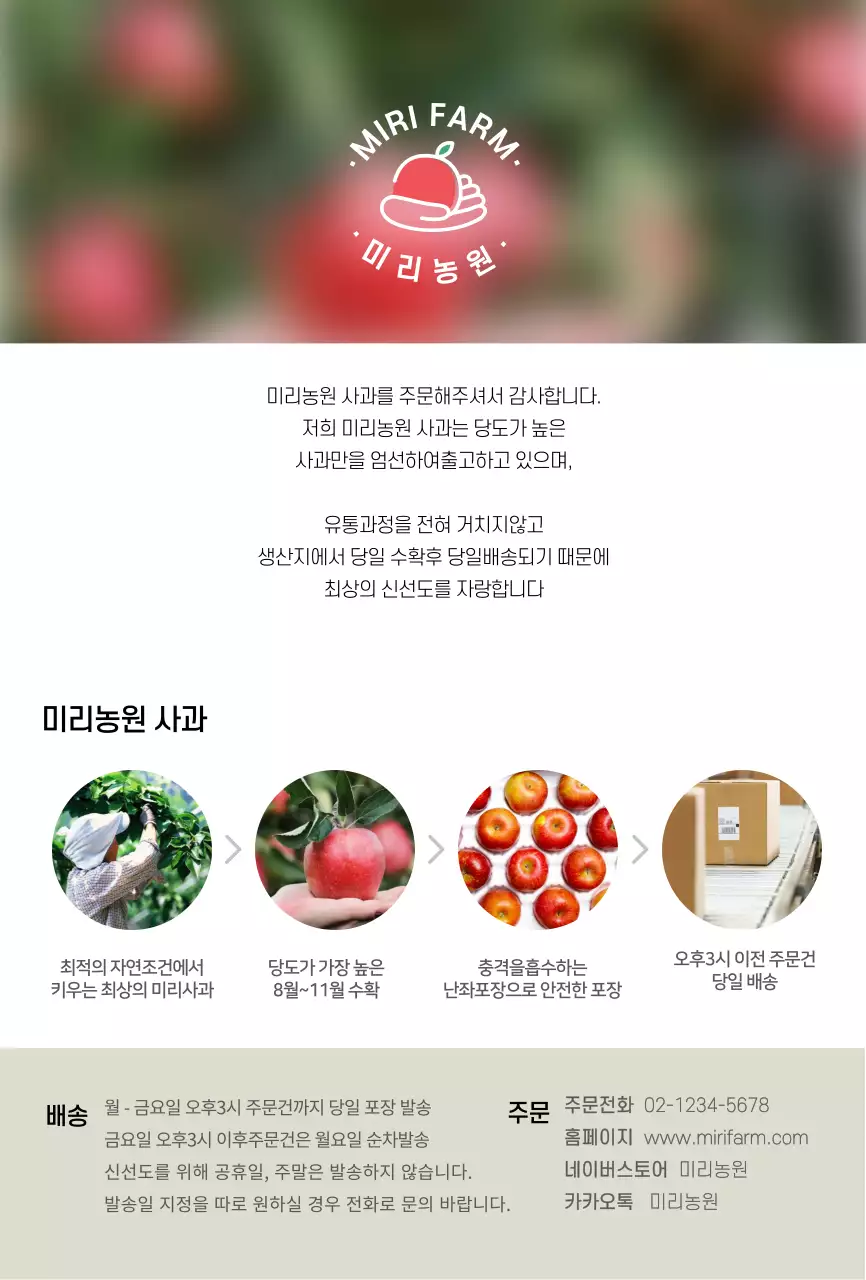 과일사진 제품설명 과수원용 엽서카드