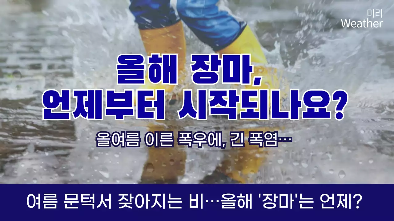 남색 여름 장마 날씨 폭우 weather 뉴스 정보공유