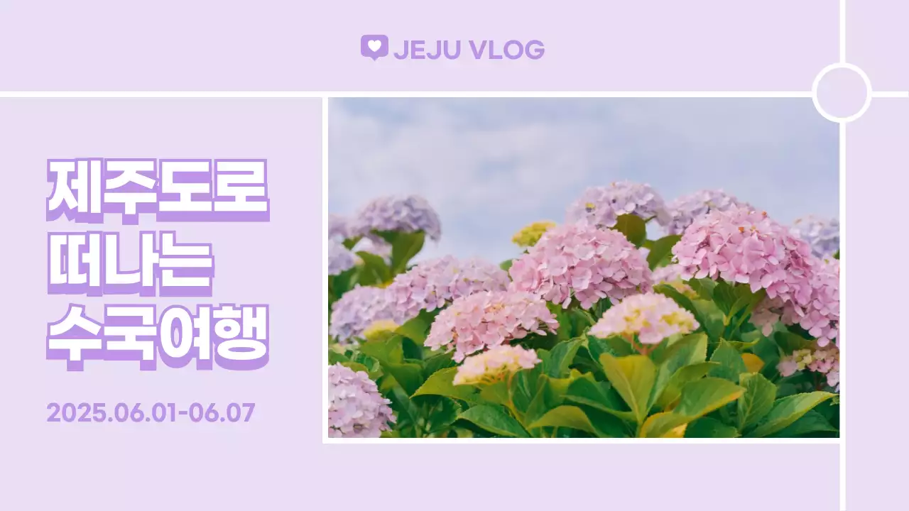 보라색 파스텔톤 제주도 수국여행 브이로그 유튜브 썸네일