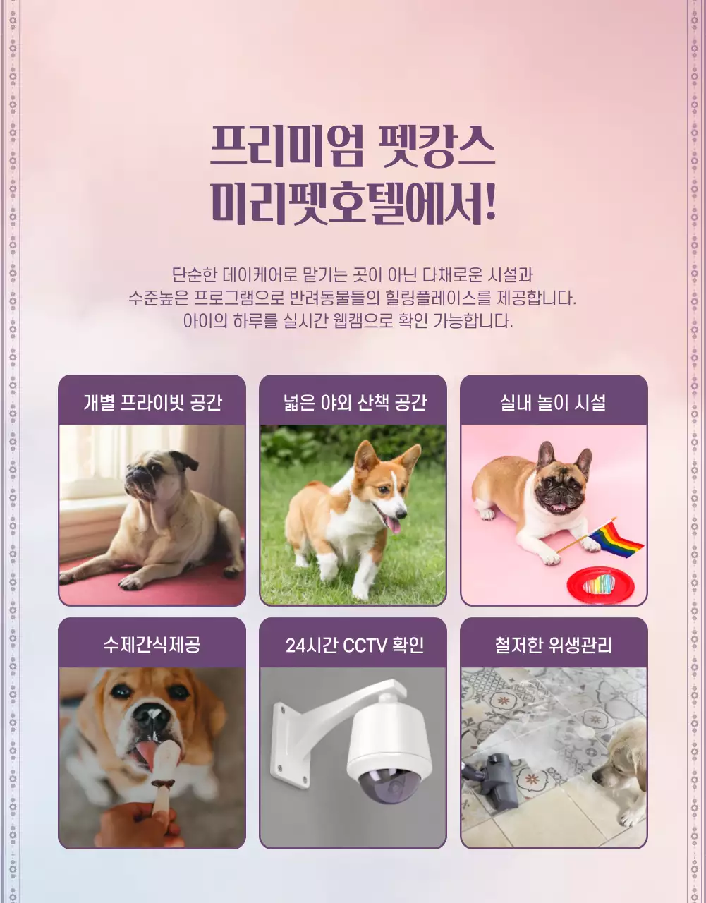 보라색과 분홍색의 펫 호텔 홍보